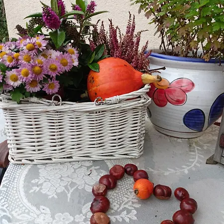 Penzion Villa Marion-2